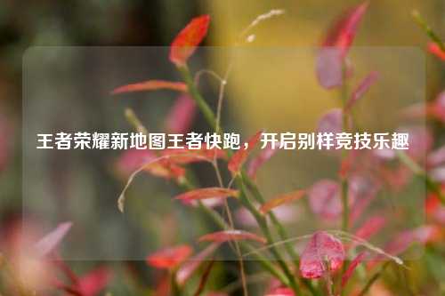 王者荣耀新地图王者快跑,开启别样竞技乐趣