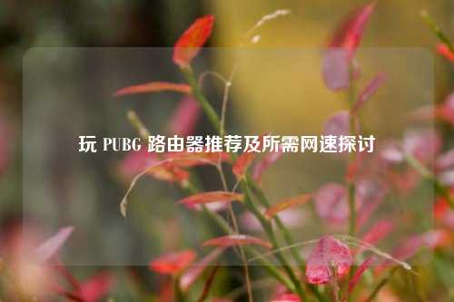 玩 PUBG 路由器推荐及所需网速探讨