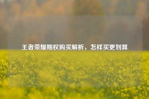 王者荣耀期权购买解析，怎样买更划算