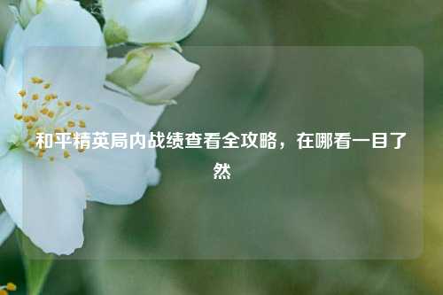 和平精英局内战绩查看全攻略，在哪看一目了然