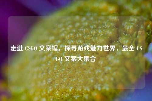 走进 CSGO 文案馆，探寻游戏魅力世界，最全 CSGO 文案大集合