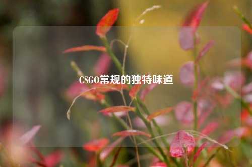 CSGO常规的独特味道
