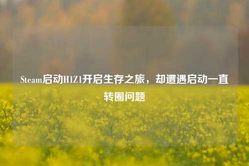 Steam启动H1Z1开启生存之旅，却遭遇启动一直转圈问题