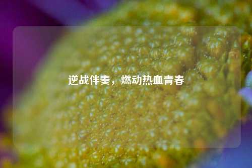 逆战伴奏，燃动热血青春