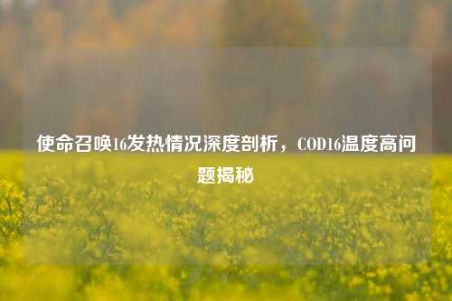 使命召唤16发热情况深度剖析，COD16温度高问题揭秘