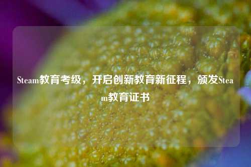 Steam教育考级，开启创新教育新征程，颁发Steam教育证书