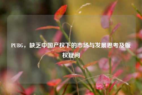 PUBG,缺乏中国产权下的市场与发展思考及版权疑问