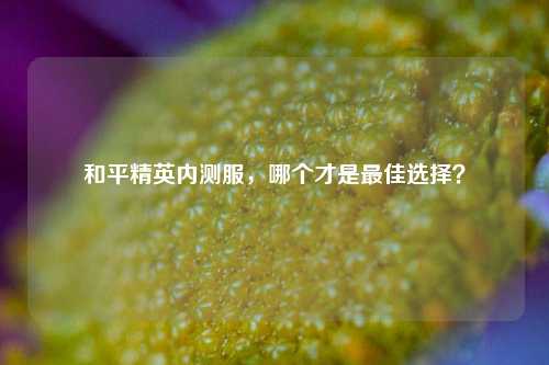 和平精英内测服，哪个才是最佳选择？