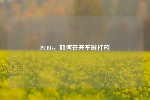 PUBG，如何在开车时打药