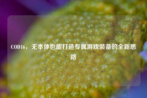 COD16，无本体也能打造专属游戏装备的全新思路