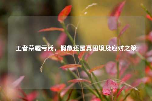 王者荣耀亏钱，假象还是真困境及应对之策