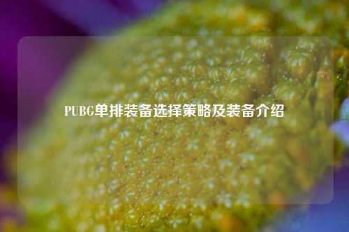PUBG单排装备选择策略及装备介绍