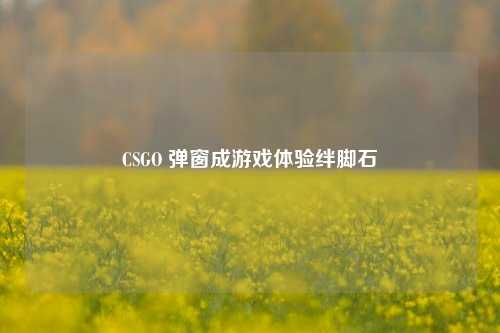 CSGO 弹窗成游戏体验绊脚石