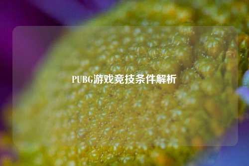 PUBG游戏竞技条件解析