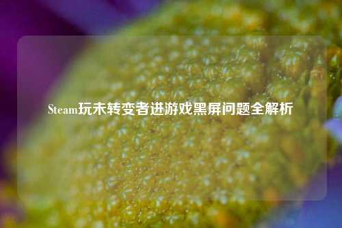 Steam玩未转变者进游戏黑屏问题全解析