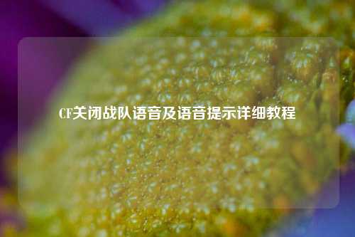 CF关闭战队语音及语音提示详细教程