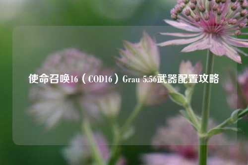 使命召唤16（COD16）Grau 5.56武器配置攻略