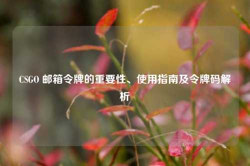 CSGO 邮箱令牌的重要性、使用指南及令牌码解析