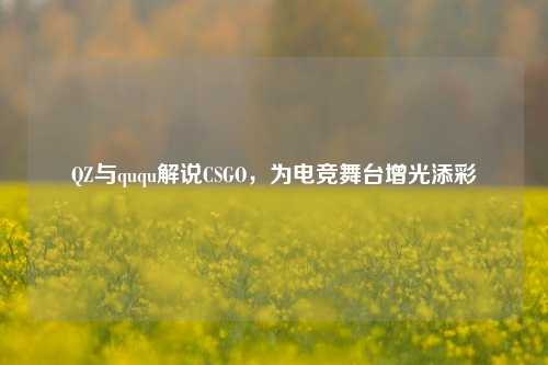 QZ与ququ解说CSGO,为电竞舞台增光添彩