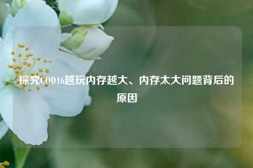 探究COD16越玩内存越大、内存太大问题背后的原因