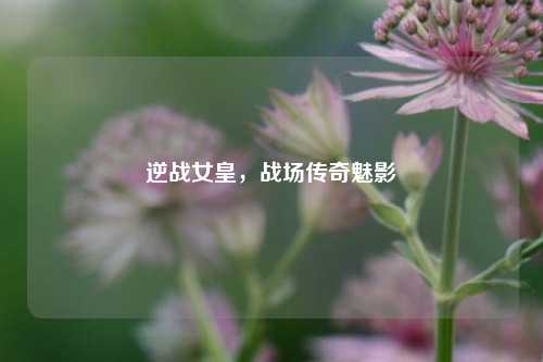 逆战女皇，战场传奇魅影