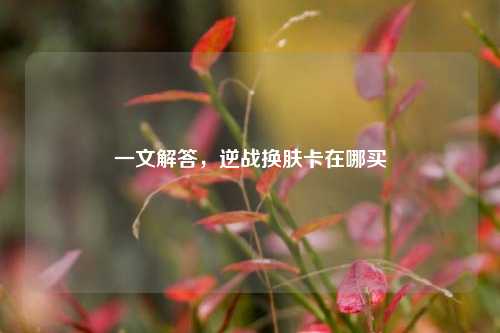 一文解答,逆战换肤卡在哪买