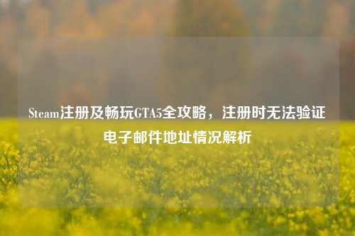 Steam注册及畅玩GTA5全攻略,注册时无法验证电子邮件地址情况解析