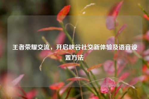王者荣耀交流，开启峡谷社交新体验及语音设置方法