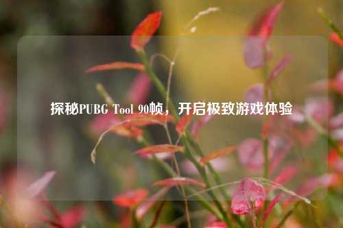 探秘PUBG Tool 90帧，开启极致游戏体验