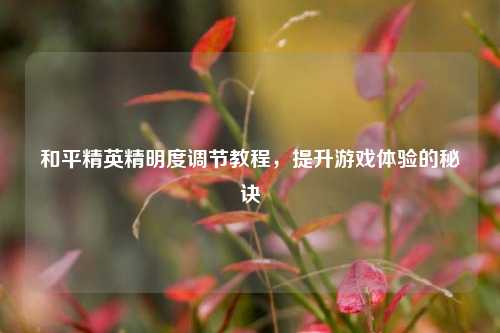 和平精英精明度调节教程，提升游戏体验的秘诀