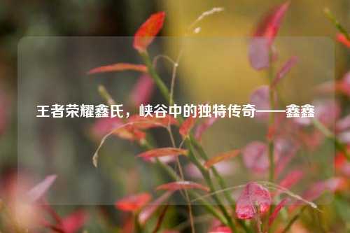 王者荣耀鑫氏，峡谷中的独特传奇——鑫鑫