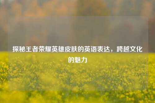 探秘王者荣耀英雄皮肤的英语表达，跨越文化的魅力