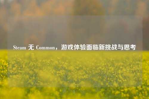 Steam 无 Common，游戏体验面临新挑战与思考