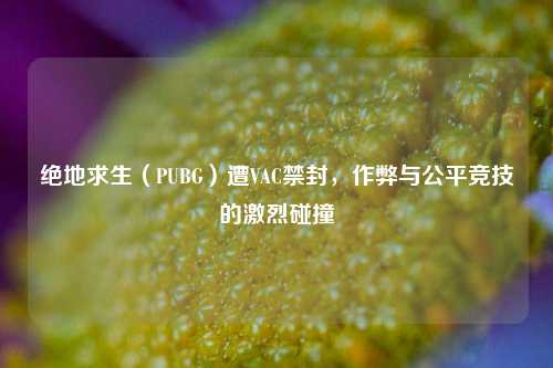 绝地求生（PUBG）遭VAC禁封，作弊与公平竞技的激烈碰撞