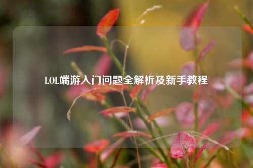 LOL端游入门问题全解析及新手教程