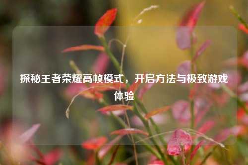 探秘王者荣耀高帧模式，开启方法与极致游戏体验