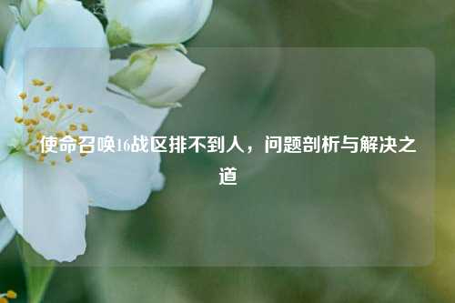 使命召唤16战区排不到人，问题剖析与解决之道