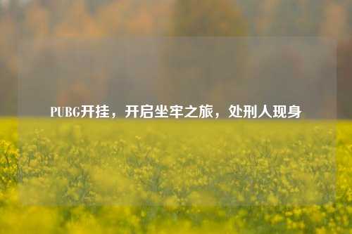 PUBG开挂，开启坐牢之旅，处刑人现身