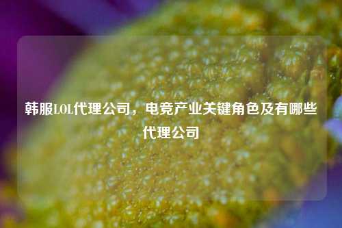 韩服LOL代理公司，电竞产业关键角色及有哪些代理公司
