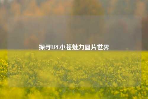 探寻LPL小苍魅力图片世界