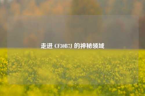 走进 CF30B7J 的神秘领域