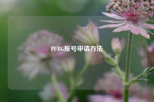 PUBG账号申请方法