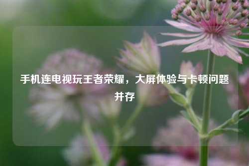 手机连电视玩王者荣耀，大屏体验与卡顿问题并存