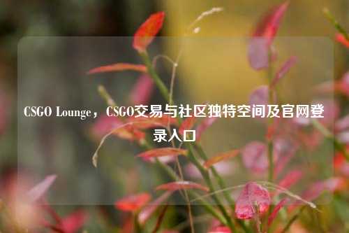 CSGO Lounge,CSGO交易与社区独特空间及官网登录入口