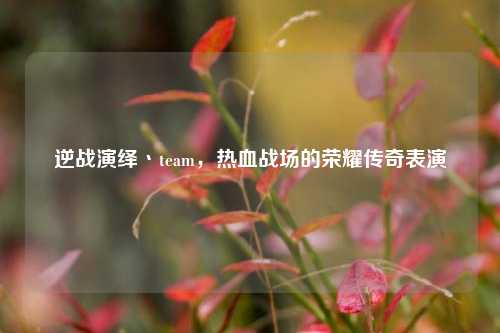 逆战演绎丶team,热血战场的荣耀传奇表演