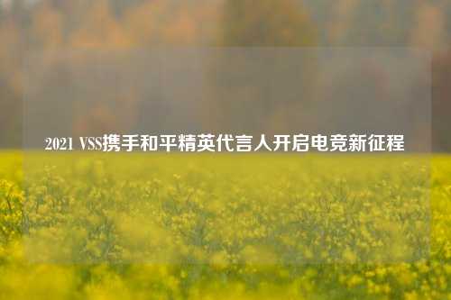 2021 VSS携手和平精英代言人开启电竞新征程
