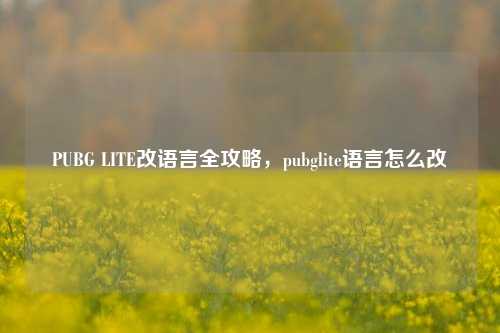 PUBG LITE改语言全攻略,pubglite语言怎么改