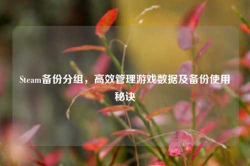 Steam备份分组,高效管理游戏数据及备份使用秘诀