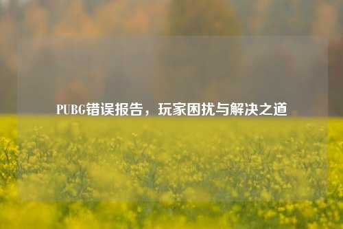 PUBG错误报告，玩家困扰与解决之道