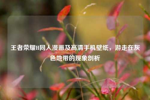 王者荣耀H同人漫画及高清手机壁纸，游走在灰色地带的现象剖析